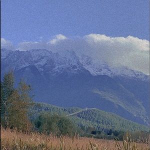 Meet your Posher, Georgette